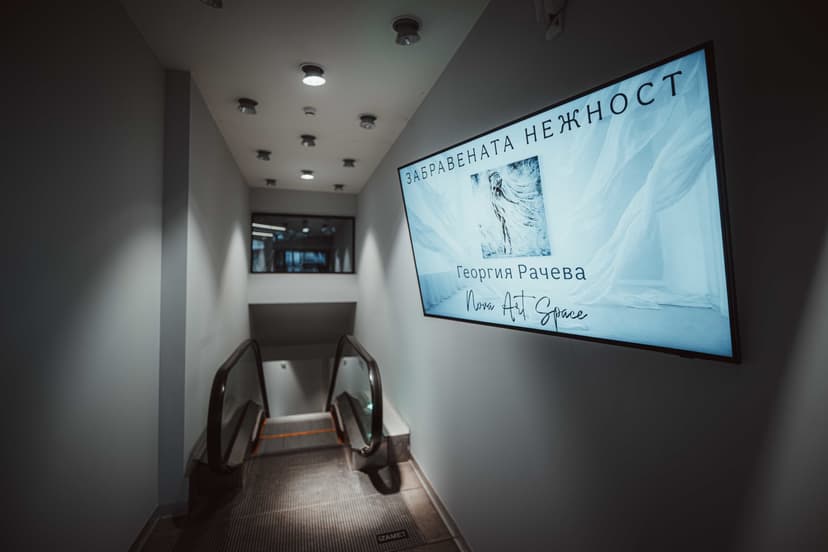 „Забравената нежност“ – изложба на Георгия Рачева в nOva art space - Снимка 4